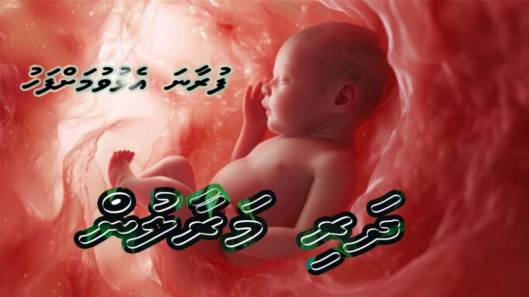 furaana Elhuvumah fahu dhari Maraalun