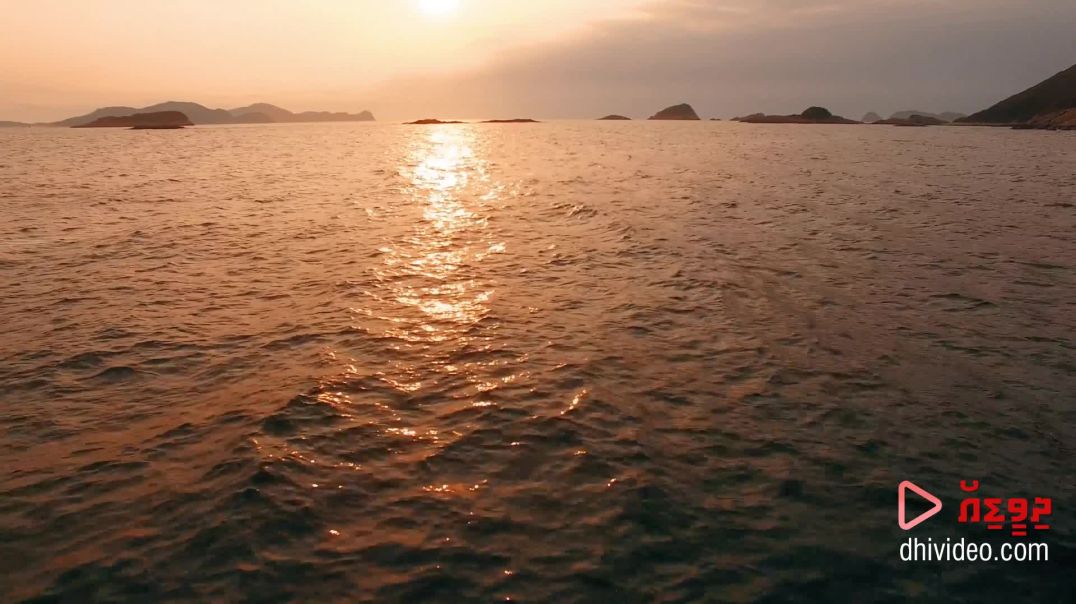 Eyhithaa - ⁣Shalabee Ibrahim