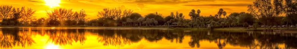 sheikh mohamed ibrahim naifaru