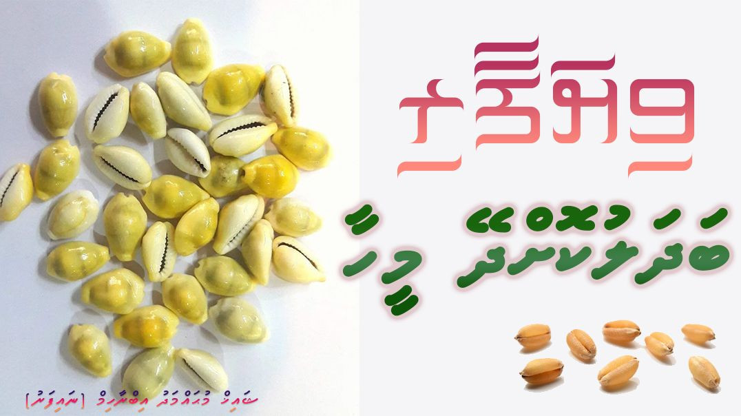 Viyafaari Badalukohdhey Meehaa