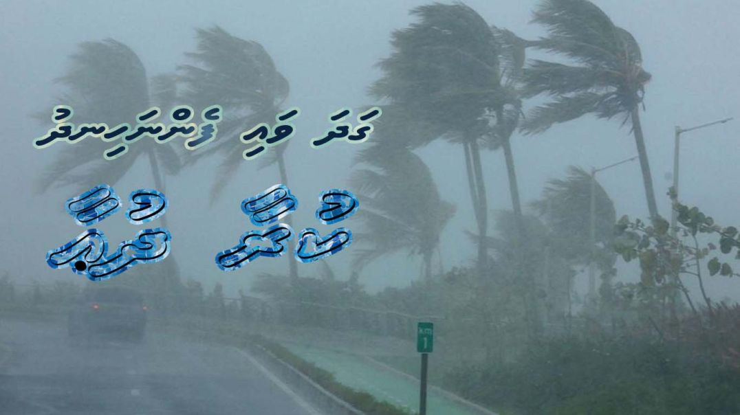 Gadha Vai Fenna Hindhu Kura Dhua