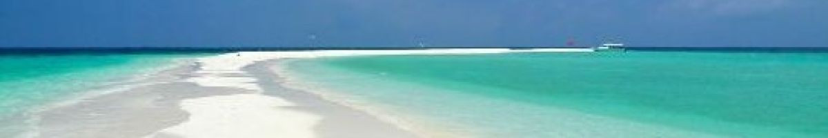 Travel & Events 