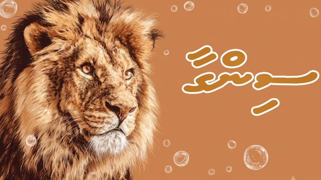 Singaa (lion) foa kids | ajaibu kuruvanivi majaa hageegaiythakaai mauloomaathu